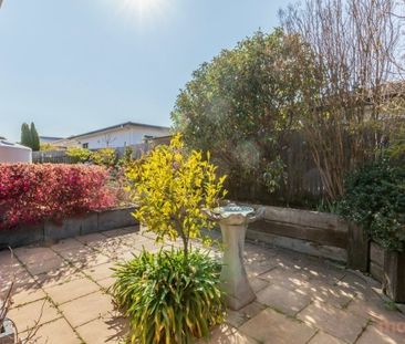 41 Alec Hope Crescent, Franklin ACT 2913 - House For Rent | Domain - Photo 6