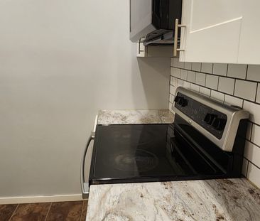 Updated 2 bed 2 Bath 2 parking By OK College - Photo 6