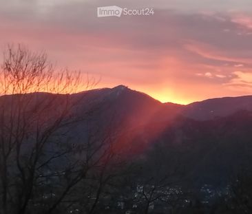 2.5 Zimmer - Photo 4