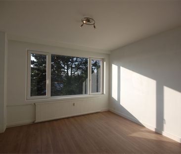 Appartement met terras en 1 slaapkamer - Foto 4