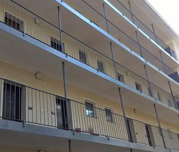 1-Zi-Wohnung mit Anmeldung für 620,- Euro warm - Photo 3