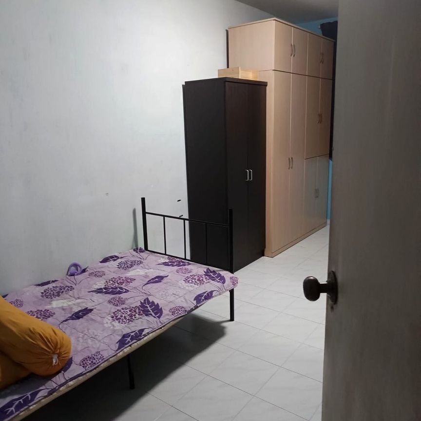 Blk 887 Tampines Street 81 (Tampines), HDB 4 Rooms - For Rent - Photo 1