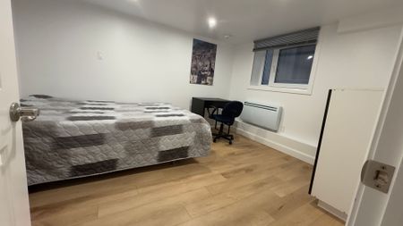 For Lease - 4992 Mcrae Street Unit# Basement, Niagara Falls, Ontario - Photo 3