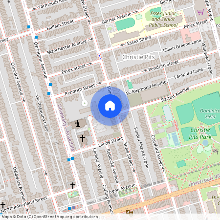 856 Shaw Street Unit# BSMT, Toronto