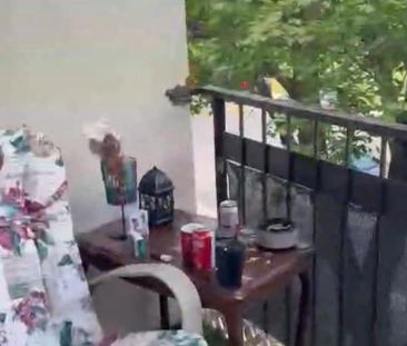 Cession de bail — Magnifique 4½ à Montréal-Nord (3e étage) - Photo 1