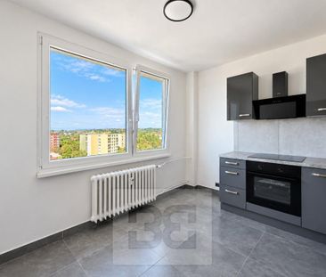 Pronájem bytu 1+1 43 m2 - Fotografie 3