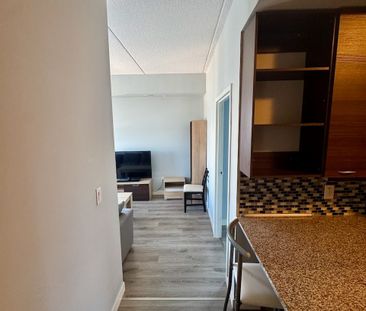 For Lease - 318 SPRUCE Street Unit# 1705, Waterloo, Ontario - Photo 6