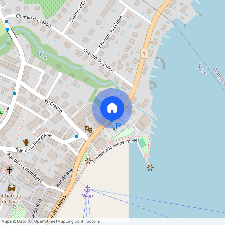 1260, Nyon, Rue De Rive, 16