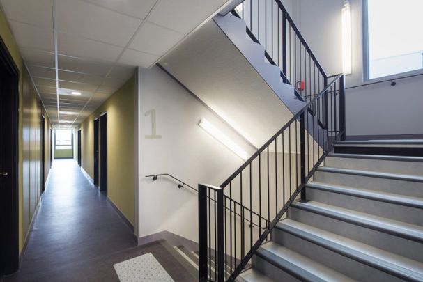 T1 de 21 à 25m² meublé et équipé (L / XL) - Photo 1