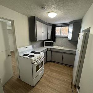 Newly Renovated Downtown 1-bedroom Suit - Photo 2