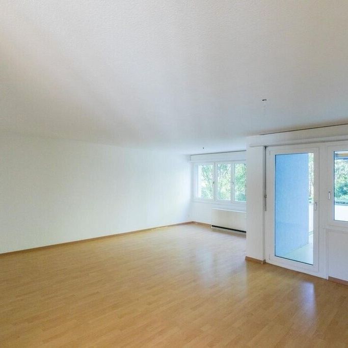 3.5 Zimmer-Wohnunga an ruhiger Lage in Egerkingen - Foto 1