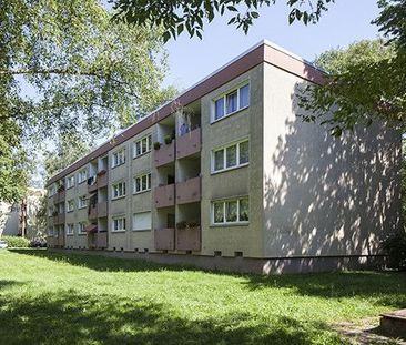 ﻿Schöne 3-Zimmer-Wohnung mit Balkon in Hanau-Großauheim zu vermieten - Foto 2