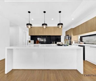 Donnybrook - Photo 3