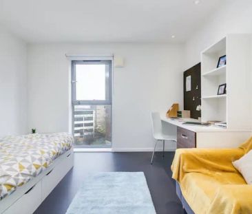 Silver Studio - Photo 5