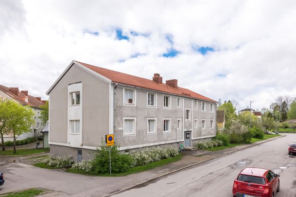 Floragatan, Flen - Photo 1