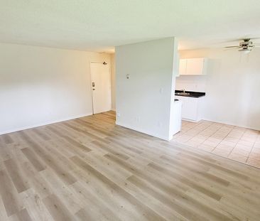 Pinetree Apartments - Photo 3