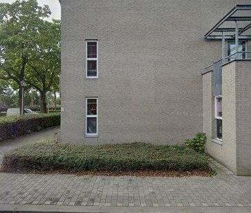 House Helmond - de Burcht - Photo 1