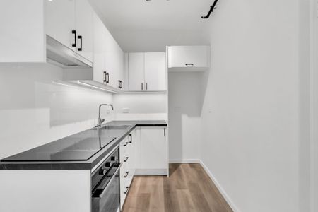 Stunning Completely Renovated Studio - Photo 4