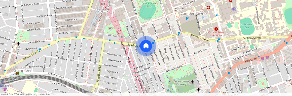 117 Australia Street, NSW 2050, Camperdown