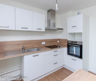 Location Appartement 2 pièces 44m² ST MARCELLIN 38160 - Photo 4