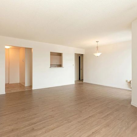 Mapleview Apartments - Photo 3