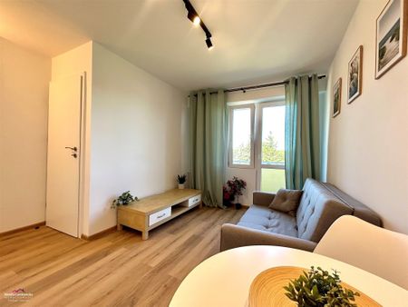 Grudziądz Mieszkanie na wynajem - Zdjęcie 3