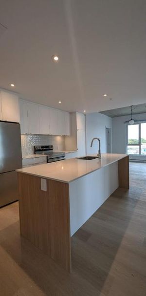 3 CH - 2 SDB - Montreal - $2,775 /mo - Photo 1