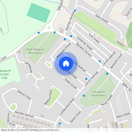 Margate Street, Sunderland, SR3