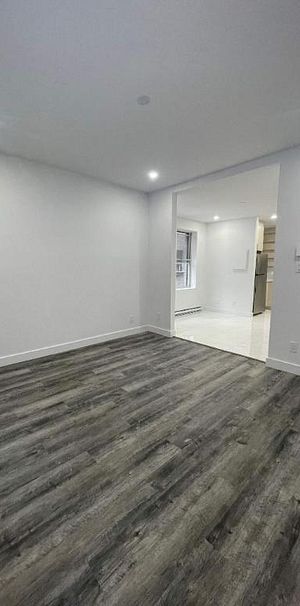 1 CH - 1 SDB - Montréal - $1,700 /mo - Photo 1