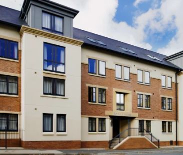 Classic Studio - Photo 6