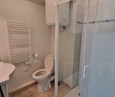 Location Appartement 1 pièce 17m² CASTELNAU LE LEZ 34170 - Photo 4