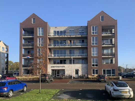 Te huur: Appartement Orpingtonlaan 90 in Barneveld - Photo 1