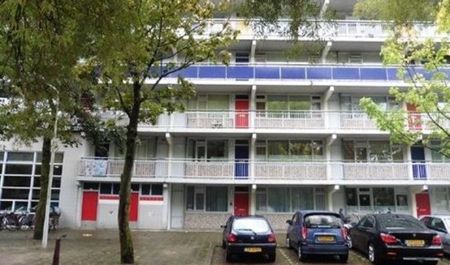 Milanenhorst 0ong, 2317 CL Leiden, Nederland - Foto 2