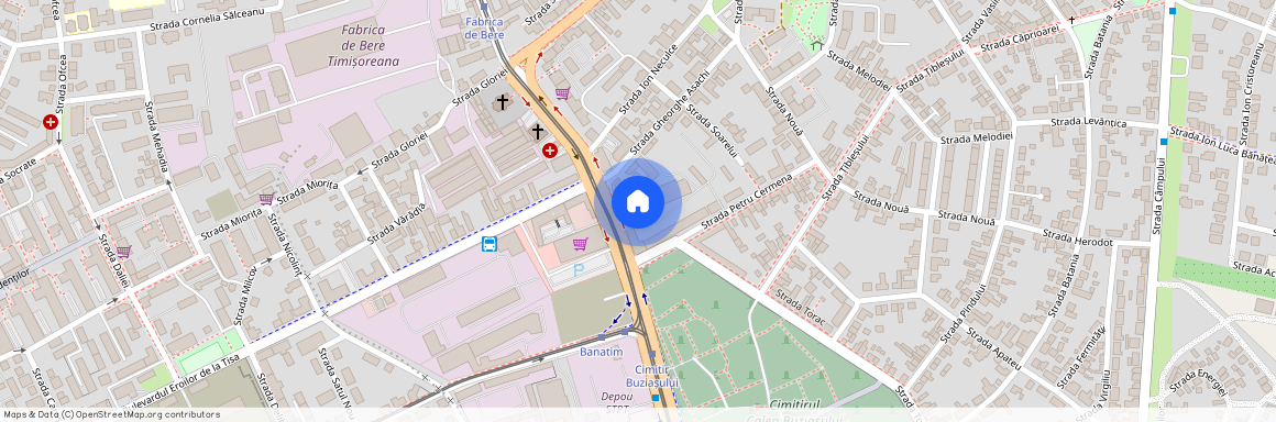 Strada Lunei, Lunei, Timisoara, Timis