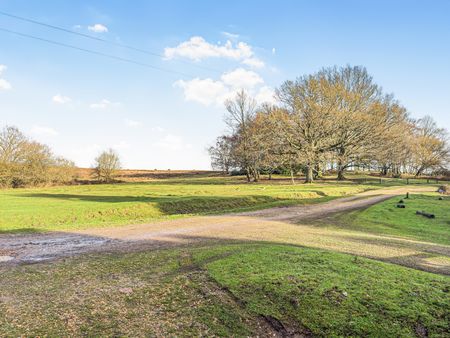 Shobley, Ringwood, Hampshire, BH24 - Photo 3