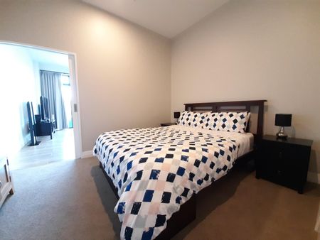 Library Lane Cutie - Photo 4