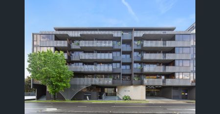 Contemporary Living in the Heart of Hawthorn East - Photo 5