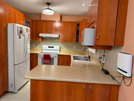 Rue Émile-Gauthier, H8R 4B9, Montréal - Photo 4