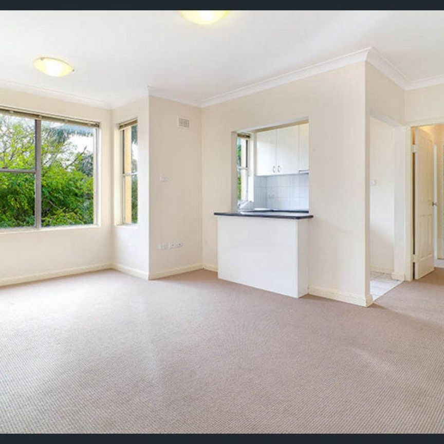 Spacious One Bedroom Apartment In Ultra Convenient Location - Photo 1