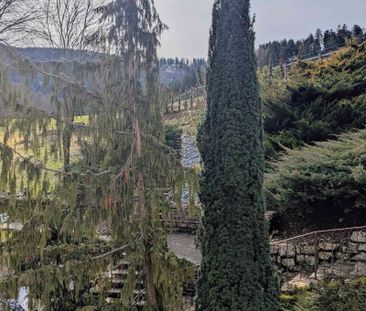 1 Zimmer, 15 m² - Photo 6