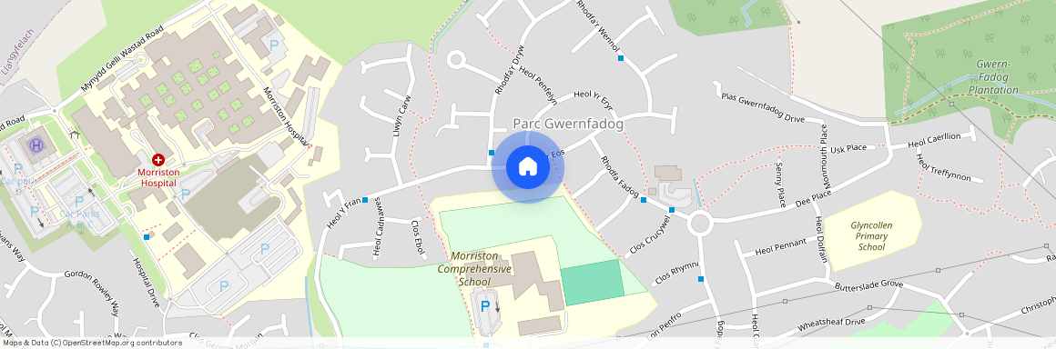 Rhodfa’r Eos, Cwmrhydyceirw, SA6 6TF