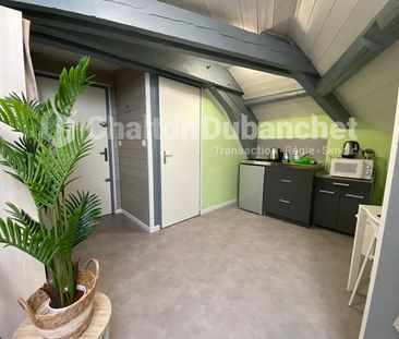 Location Appartement 1 pièce 17m² - Photo 3