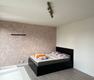 Appartement à louer 1 pièce • Strasbourg - Photo 3