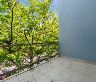 29/10 Burke Crescent, Kingston ACT 2604 - Apartment For Rent | Domain - Photo 6