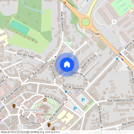 Rue du Capitaine Motz, 10, 724, 6700, Arlon