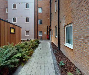 Silver 3 Bed Apartment - Photo 5