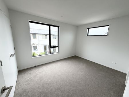 358 Hereford Street, Linwood - Photo 4