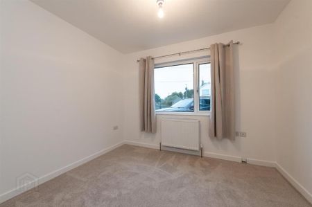 21 Scaddy Road, Downpatrick, BT30 9BW - Photo 3