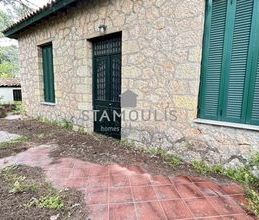 Μονοκατοικία για ενοικίαση - Άγιος Στέφανος, - Photo 6
