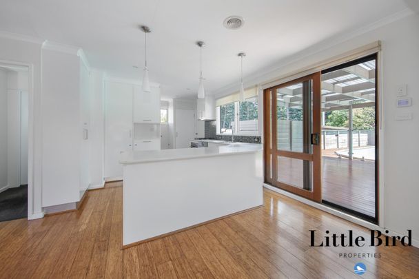 101 Atherton Street, Downer ACT 2602 - House For Rent | Domain - Photo 1